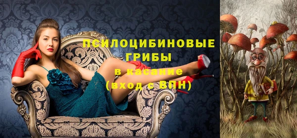 спиды Дмитровск