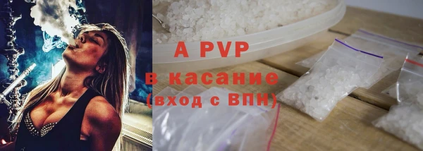 тгк Дмитриев