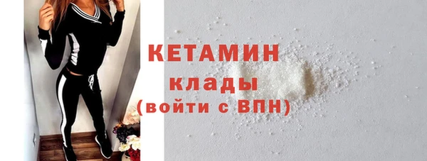 тгк Дмитриев