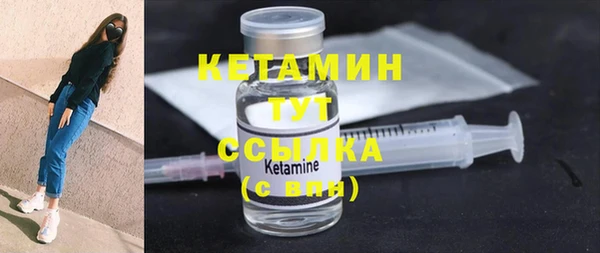 тгк Дмитриев