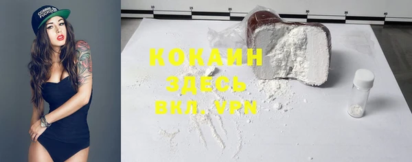 амф Дмитров