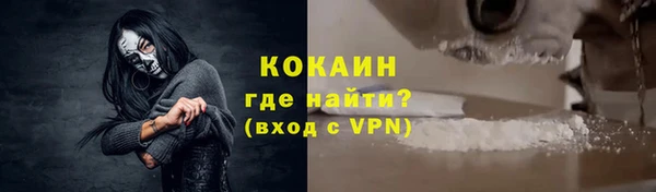 тгк Дмитриев