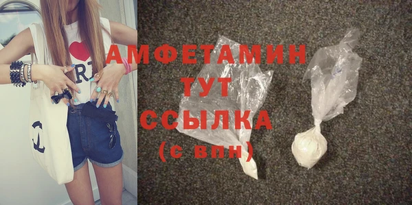 тгк Дмитриев