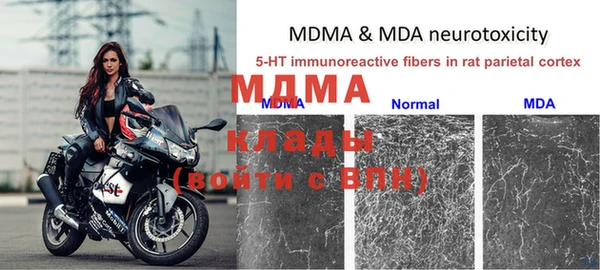тгк Дмитриев