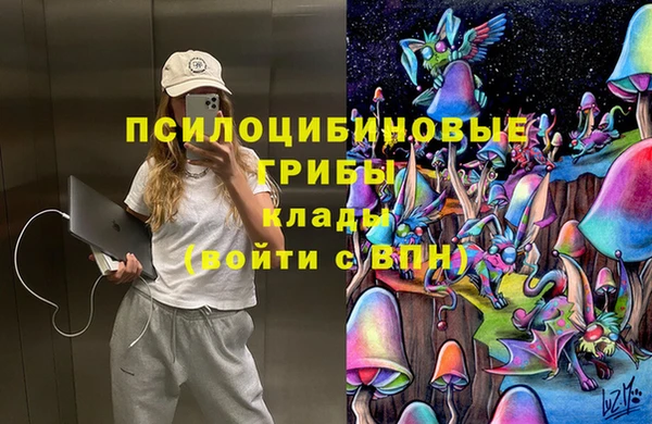 тгк Дмитриев
