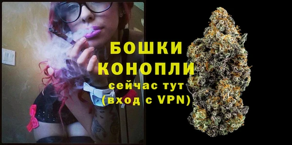 спиды Дмитровск