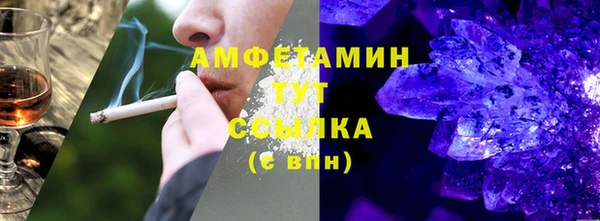 амф Дмитров