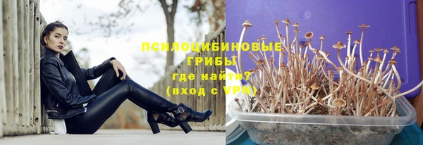 амф Дмитров